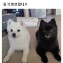 여주정육점 이미지