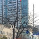 이레옷수선 - 화성시 동탄반석로 193 | 이레옷수선