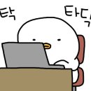 앨리스와인샵 이미지