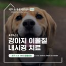 제주24시숨동물의료센터 | 제주도24시동물병원 강아지 이물질 삼킴 위내이물 제거 내시경 치료 [숨동물의료센터]