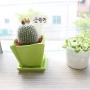 느티나무치과의원 이미지