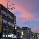 [진주 시내 회포장 맛집, 바른수산] 싱싱한 회를 포장해서 먹어봤어요