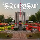 팔정도 | 동국대 연등제 후기ㅣ가는 법 기간 점등 시간 주차 총 정리!