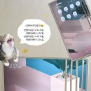 엘바이미 이미지