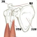 바디필 헬스 스피닝 이미지