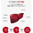 라이커스 | [내돈내산] K직장인 간건강 필수템, 더라이커스 피니톨 포 리버 2년째 복용 후기