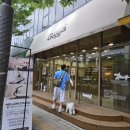 수원 가까 Gagga 강아지 식품 용품점 알러지 사료 추천 시식 구매후기