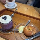 농부사랑 | 고창 갈만한곳 농부의 카페 사랑새봄, 감자베이글 맛집