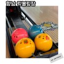 향남 락볼링장 가격 위치 재밌는 스포츠