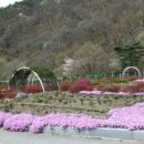 산마루 펜션 이미지