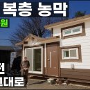 가나콘테이너 이미지