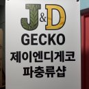 제이엔디 | 하남 파충류샵 탐방기 아들과 함께한 제이엔디 게코 방문 후기