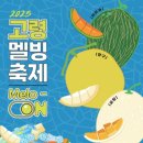 고령 멜빙축제 이미지