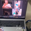 대진박 이미지