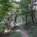 삼운정약수터 이미지