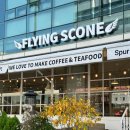 동구버스-1 | [대전 동구 가양동] 선샤인웨딩홀 1층 카페추천 커피플라잉스콘 대전복합버스터미널점