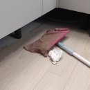 아너스크리닝 이미지