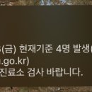 아티장보노보