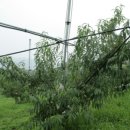 이례농장 이미지