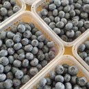 첫골농장 이미지