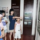 국도23호선가로수 이미지