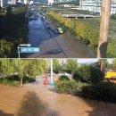 성산구 ⓒ-21 이미지