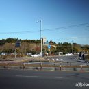 오설록 교차로 이미지