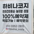 하비나 코지 이미지