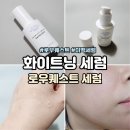 퀘스트 | 미백 에센스 로우퀘스트 인텐스 브라이트닝 세럼 솔직후기