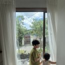 루다목장 | 제주여행3일차 (제동목장,연돈,협재해수욕장)