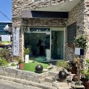 프리멍 샵 애견미용 | 송정동애견미용 잘하는 곳, 형곡동애견미용 멍뜰리에 1:1 맞춤 미용