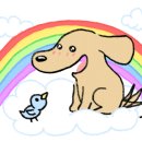 강아지천국 이미지