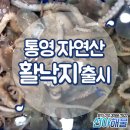 선아전복 이미지