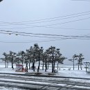 양양 글림(Gleam pool villa) 풀빌라 펜션(오션뷰 숙소) 후기