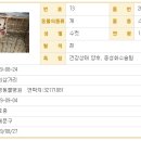 신영동물병원 이미지