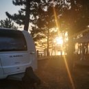 완도파인비치호텔 이미지