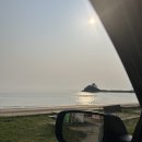 구름포해변캠핑장 | 6월 태안 구름포 해변캠핑장 후기 - 갯벌체험, 캠핑음식 추천, 반려동물 동반, 게국지 서산맛집 진국집