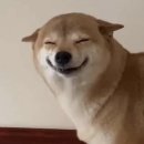 오암 이미지