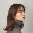 리안헤어개봉