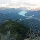 늑대와 여우 이미지