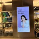 소주하우스 | 용산 아이파크몰 모던하우스 인테리어 소품 쇼핑후기 소주잔 득템