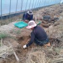 천마축산 이미지