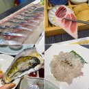 대전 둔산동 회식 룸 일식집 산 고등어 회 맛집 사바