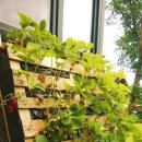 가보농장 이미지