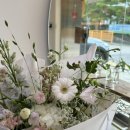 니모메플라워(NIMOME FLOWER)