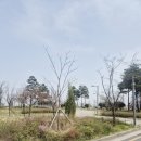 퍼플 스왈로우 이미지