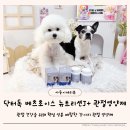(J)생활건강 | 비숑 강아지 무릎 건강 챙기는 닥터독 베츠초이스 뉴트리션J+ 관절영양제