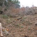 황재농장 이미지