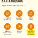 만능효소 이미지