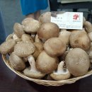 한길농부 농장 이미지